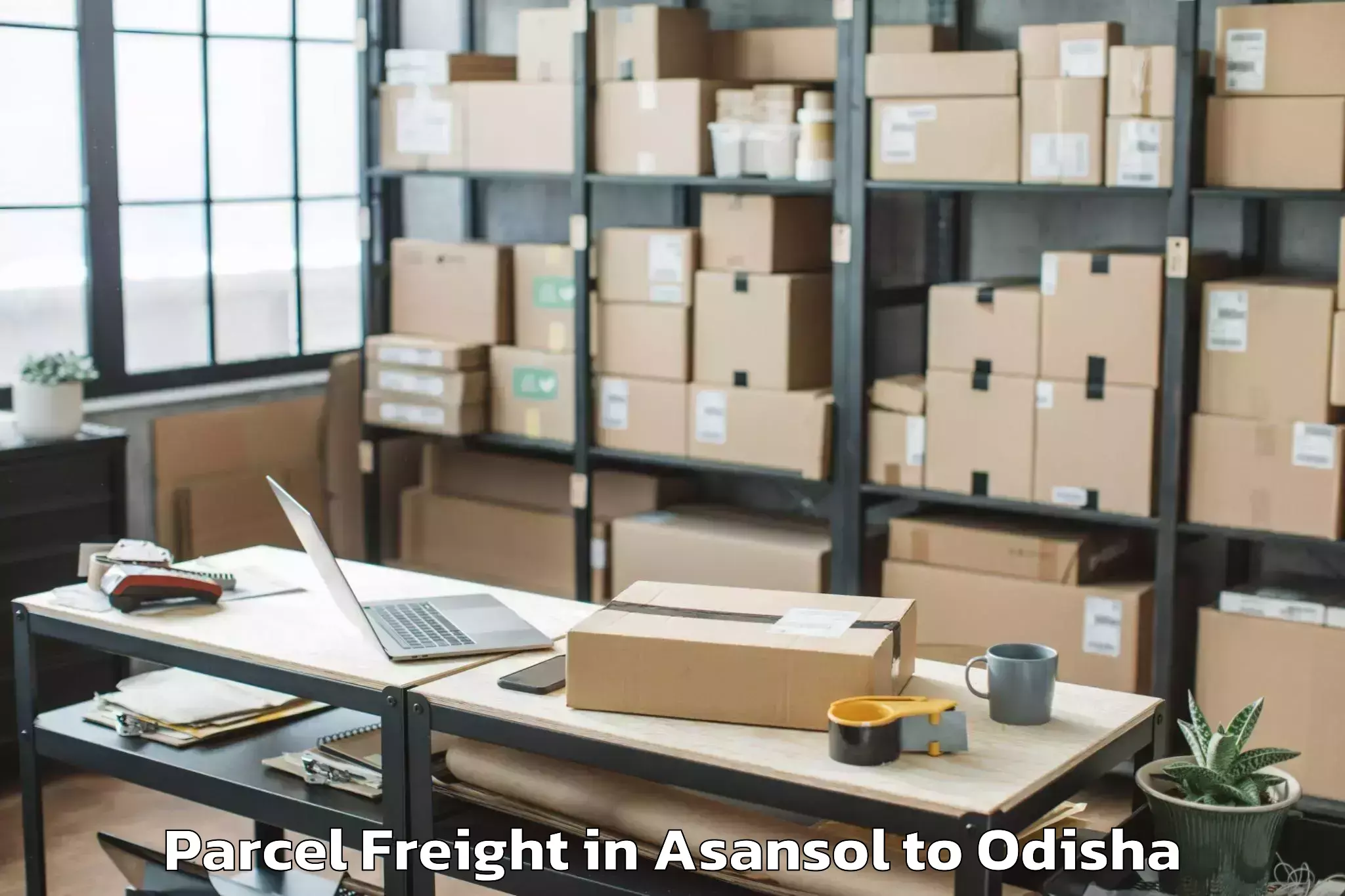 Discover Asansol to Bhanjanagar Parcel Freight